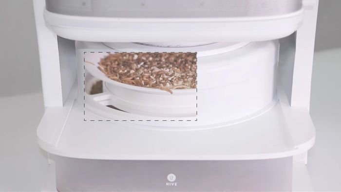 LIVIN Farms Hive_8