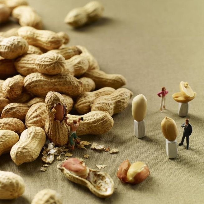 Amazing-food-art-by-Pierre-Javelle-and-Akiko-Ida_4.jpg